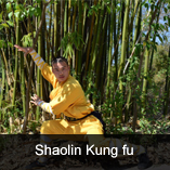 Shaolin Kung fu